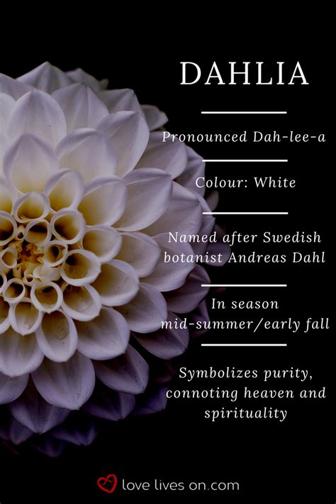 delilah flower meaning